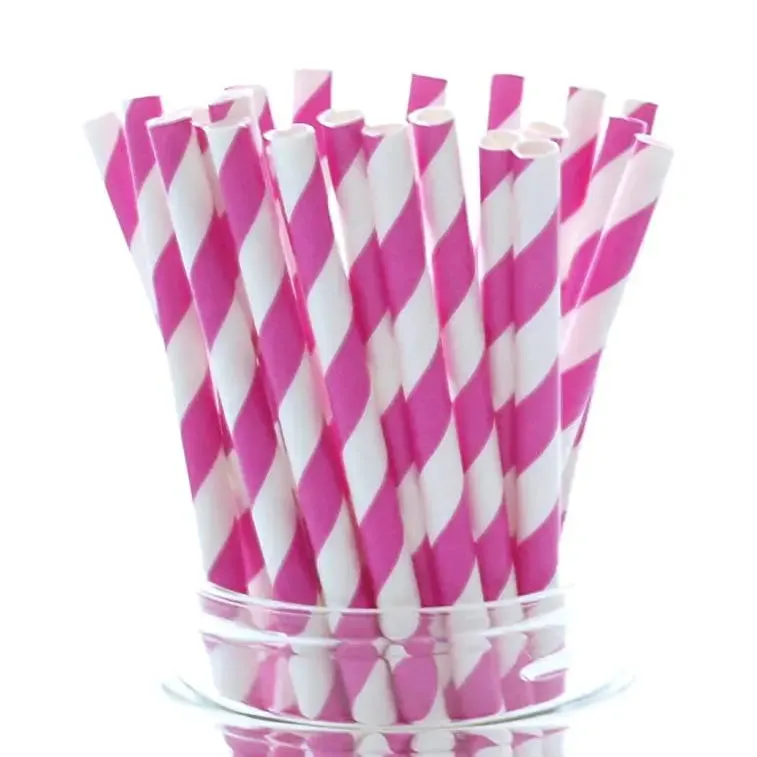 Bright Pink Stripe Paper Straws - 24 Pkt